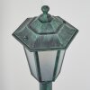 Loria path light green, black, 1-light source