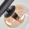 Chehalis Ceiling Light - glass 10 cm, 12 cm, 15 cm Amber, clear, 10-light sources