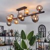 Chehalis Ceiling Light - glass 10 cm, 12 cm, 15 cm Amber, Smoke-coloured, 10-light sources