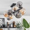 Chehalis Ceiling Light - glass 10 cm, 12 cm, 15 cm Amber, Smoke-coloured, 10-light sources