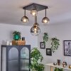Chehalis Ceiling Light - glass 10 cm, 12 cm, 15 cm clear, Smoke-coloured, 5-light sources