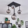 Chehalis Ceiling Light - glass 10 cm, 12 cm, 15 cm Smoke-coloured, 5-light sources