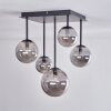 Chehalis Ceiling Light - glass 10 cm, 12 cm, 15 cm Smoke-coloured, 5-light sources
