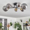 Chehalis Ceiling Light - glass 10 cm, 12 cm, 15 cm gold, black, 6-light sources