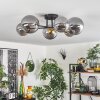 Chehalis Ceiling Light - glass 12 cm, 15 cm gold, black, 6-light sources
