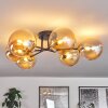 Chehalis Ceiling Light - glass 15 cm gold, black, 6-light sources
