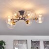 Chehalis Ceiling Light - glass 10 cm, 12 cm, 15 cm gold, black, 6-light sources