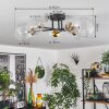Chehalis Ceiling Light - glass 10 cm, 12 cm, 15 cm gold, black, 6-light sources