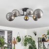Chehalis Ceiling Light - glass 10 cm, 12 cm, 15 cm gold, black, 6-light sources