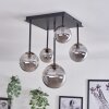 Chehalis Ceiling Light - glass 10 cm, 12 cm, 15 cm gold, black, 5-light sources