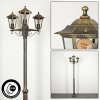 Loria Lamp Post brown, gold, black, 3-light sources