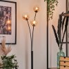 Bernado Floor Lamp - glass 12 cm Amber, 3-light sources