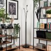 Bernado Floor Lamp - glass 10 cm clear, 3-light sources