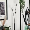 Bernado Floor Lamp - glass 10 cm clear, 3-light sources