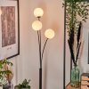 Bernado Floor Lamp - glass 12 cm white, 3-light sources