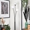 Bernado Floor Lamp - glass 12 cm white, 3-light sources
