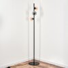 Remaisnil Floor Lamp - glass 10 cm, 12 cm Amber, Smoke-coloured, 3-light sources