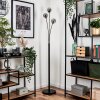 Bernado Floor Lamp - glass 10 cm Smoke-coloured, 3-light sources