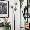Bernado Floor Lamp - glass 12 cm Smoke-coloured, 3-light sources