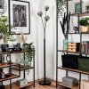 Bernado Floor Lamp - glass 12 cm Smoke-coloured, 3-light sources