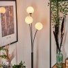 Bernado Floor Lamp - glass 12 cm white, 3-light sources