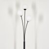 Bernado Floor Lamp - glass 12 cm white, 3-light sources
