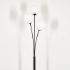 Bernado Floor Lamp - glass 15 cm white, 3-light sources