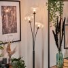 Bernado Floor Lamp - glass 15 cm clear, 3-light sources
