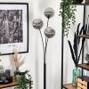 Bernado Floor Lamp - glass 15 cm Smoke-coloured, 3-light sources