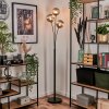 Bernado Floor Lamp - glass 15 cm Smoke-coloured, 3-light sources