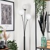 Bernado Floor Lamp - glass 15 cm white, 3-light sources