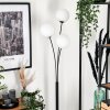 Bernado Floor Lamp - glass 15 cm white, 3-light sources
