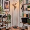 Bernado Floor Lamp - glass 12 cm Smoke-coloured, 6-light sources