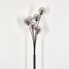 Bernado Floor Lamp - glass 12 cm Smoke-coloured, 6-light sources