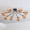 Chehalis Ceiling Light - glass 15 cm gold, black, 8-light sources
