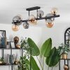 Chehalis Ceiling Light - glass 10 cm, 12 cm, 15 cm Amber, Smoke-coloured, 10-light sources