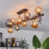 Chehalis Ceiling Light - glass 10 cm, 12 cm, 15 cm Amber, Smoke-coloured, 10-light sources