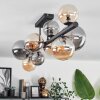 Chehalis Ceiling Light - glass 10 cm, 12 cm, 15 cm Amber, Smoke-coloured, 10-light sources