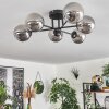 Chehalis Ceiling Light - glass 12 cm Smoke-coloured, 6-light sources