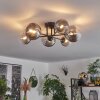 Chehalis Ceiling Light - glass 12 cm, 15 cm clear, Smoke-coloured, 6-light sources