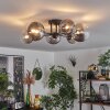 Chehalis Ceiling Light - glass 12 cm, 15 cm clear, Smoke-coloured, 6-light sources