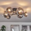 Chehalis Ceiling Light - glass 12 cm, 15 cm clear, Smoke-coloured, 6-light sources