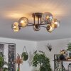 Chehalis Ceiling Light - glass 10 cm Smoke-coloured, 6-light sources