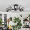 Chehalis Ceiling Light - glass 10 cm Smoke-coloured, 6-light sources