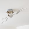 Mapleton ceiling light LED chrome, 4-light sources