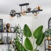 Chehalis Ceiling Light - glass 10 cm, 12 cm, 15 cm Amber, clear, Smoke-coloured, 10-light sources