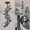 Chehalis Ceiling Light - glass 12 cm clear, Smoke-coloured, 8-light sources