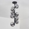 Chehalis Ceiling Light - glass 12 cm clear, Smoke-coloured, 8-light sources