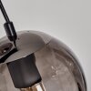 Evolene Pendant Light black, 6-light sources
