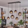 Evolene Pendant Light black, 6-light sources
